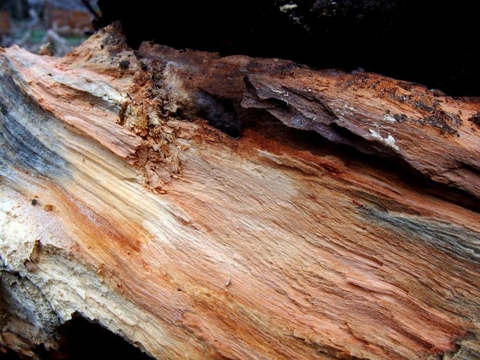 Yanosh Racz photofolio - Shadows of the Light